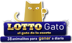 lottoGato